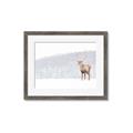 Picture of Winter Stag _GroupedProduct_Rectangle_Landscape_Framed_Matted_