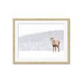 Picture of Winter Stag _GroupedProduct_Rectangle_Landscape_Framed_Matted_