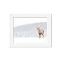 Picture of Winter Stag _GroupedProduct_Rectangle_Landscape_Framed_Matted_