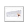Picture of Winter Stag _GroupedProduct_Rectangle_Landscape_Framed_Matted_