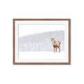 Picture of Winter Stag _GroupedProduct_Rectangle_Landscape_Framed_Matted_