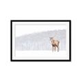 Picture of Winter Stag _GroupedProduct_Rectangle_Landscape_Framed_Matted_