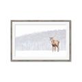 Picture of Winter Stag _GroupedProduct_Rectangle_Landscape_Framed_Matted_
