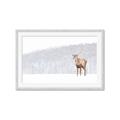 Picture of Winter Stag _GroupedProduct_Rectangle_Landscape_Framed_Matted_