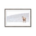 Picture of Winter Stag _GroupedProduct_Rectangle_Landscape_Framed_Matted_