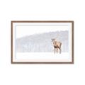Picture of Winter Stag _GroupedProduct_Rectangle_Landscape_Framed_Matted_