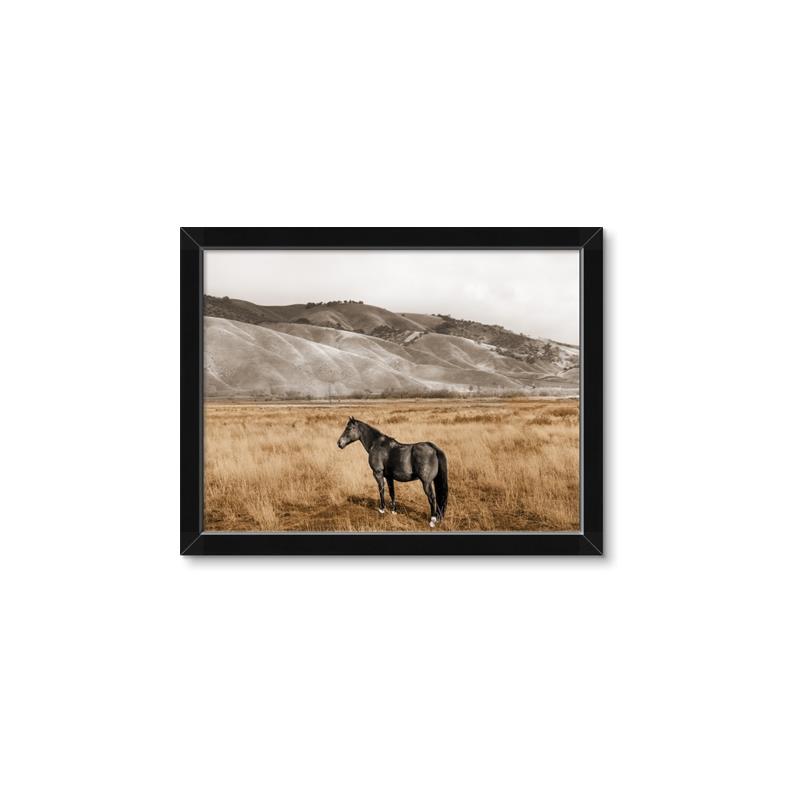 Picture of Mustard Grass Horse _GroupedProduct_Rectangle_Landscape_Photography _GroupedProduct_Rectangle_Landscape_Framed_Matted_