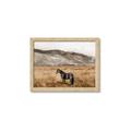 Picture of Mustard Grass Horse _GroupedProduct_Rectangle_Landscape_Photography _GroupedProduct_Rectangle_Landscape_Framed_Matted_