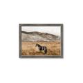 Picture of Mustard Grass Horse _GroupedProduct_Rectangle_Landscape_Photography _GroupedProduct_Rectangle_Landscape_Framed_Matted_