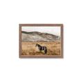 Picture of Mustard Grass Horse _GroupedProduct_Rectangle_Landscape_Photography _GroupedProduct_Rectangle_Landscape_Framed_Matted_