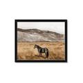 Picture of Mustard Grass Horse _GroupedProduct_Rectangle_Landscape_Photography _GroupedProduct_Rectangle_Landscape_Framed_Matted_