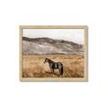 Picture of Mustard Grass Horse _GroupedProduct_Rectangle_Landscape_Photography _GroupedProduct_Rectangle_Landscape_Framed_Matted_