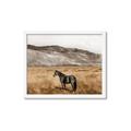 Picture of Mustard Grass Horse _GroupedProduct_Rectangle_Landscape_Photography _GroupedProduct_Rectangle_Landscape_Framed_Matted_