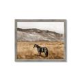 Picture of Mustard Grass Horse _GroupedProduct_Rectangle_Landscape_Photography _GroupedProduct_Rectangle_Landscape_Framed_Matted_
