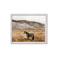 Picture of Mustard Grass Horse _GroupedProduct_Rectangle_Landscape_Photography _GroupedProduct_Rectangle_Landscape_Framed_Matted_