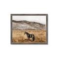 Picture of Mustard Grass Horse _GroupedProduct_Rectangle_Landscape_Photography _GroupedProduct_Rectangle_Landscape_Framed_Matted_