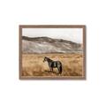 Picture of Mustard Grass Horse _GroupedProduct_Rectangle_Landscape_Photography _GroupedProduct_Rectangle_Landscape_Framed_Matted_