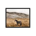 Picture of Mustard Grass Horse _GroupedProduct_Rectangle_Landscape_Photography _GroupedProduct_Rectangle_Landscape_Framed_Matted_