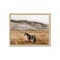 Picture of Mustard Grass Horse _GroupedProduct_Rectangle_Landscape_Photography _GroupedProduct_Rectangle_Landscape_Framed_Matted_