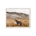 Picture of Mustard Grass Horse _GroupedProduct_Rectangle_Landscape_Photography _GroupedProduct_Rectangle_Landscape_Framed_Matted_