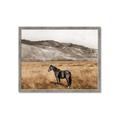 Picture of Mustard Grass Horse _GroupedProduct_Rectangle_Landscape_Photography _GroupedProduct_Rectangle_Landscape_Framed_Matted_
