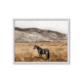 Picture of Mustard Grass Horse _GroupedProduct_Rectangle_Landscape_Photography _GroupedProduct_Rectangle_Landscape_Framed_Matted_