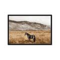 Picture of Mustard Grass Horse _GroupedProduct_Rectangle_Landscape_Photography _GroupedProduct_Rectangle_Landscape_Framed_Matted_