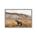 Picture of Mustard Grass Horse _GroupedProduct_Rectangle_Landscape_Photography _GroupedProduct_Rectangle_Landscape_Framed_Matted_
