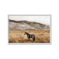 Picture of Mustard Grass Horse _GroupedProduct_Rectangle_Landscape_Photography _GroupedProduct_Rectangle_Landscape_Framed_Matted_