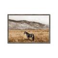 Picture of Mustard Grass Horse _GroupedProduct_Rectangle_Landscape_Photography _GroupedProduct_Rectangle_Landscape_Framed_Matted_