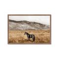Picture of Mustard Grass Horse _GroupedProduct_Rectangle_Landscape_Photography _GroupedProduct_Rectangle_Landscape_Framed_Matted_