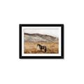 Picture of Mustard Grass Horse _GroupedProduct_Rectangle_Landscape_Photography _GroupedProduct_Rectangle_Landscape_Framed_Matted_