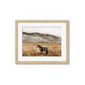 Picture of Mustard Grass Horse _GroupedProduct_Rectangle_Landscape_Photography _GroupedProduct_Rectangle_Landscape_Framed_Matted_