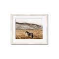 Picture of Mustard Grass Horse _GroupedProduct_Rectangle_Landscape_Photography _GroupedProduct_Rectangle_Landscape_Framed_Matted_