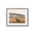 Picture of Mustard Grass Horse _GroupedProduct_Rectangle_Landscape_Photography _GroupedProduct_Rectangle_Landscape_Framed_Matted_
