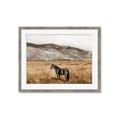 Picture of Mustard Grass Horse _GroupedProduct_Rectangle_Landscape_Photography _GroupedProduct_Rectangle_Landscape_Framed_Matted_