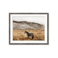 Picture of Mustard Grass Horse _GroupedProduct_Rectangle_Landscape_Photography _GroupedProduct_Rectangle_Landscape_Framed_Matted_