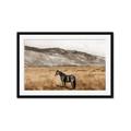 Picture of Mustard Grass Horse _GroupedProduct_Rectangle_Landscape_Photography _GroupedProduct_Rectangle_Landscape_Framed_Matted_