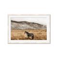 Picture of Mustard Grass Horse _GroupedProduct_Rectangle_Landscape_Photography _GroupedProduct_Rectangle_Landscape_Framed_Matted_