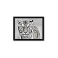 Picture of Big Tiger _GroupedProduct_Rectangle_Landscape_Photography _GroupedProduct_Rectangle_Landscape_Framed_Matted_