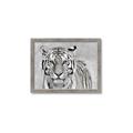Picture of Big Tiger _GroupedProduct_Rectangle_Landscape_Photography _GroupedProduct_Rectangle_Landscape_Framed_Matted_