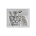 Picture of Big Tiger _GroupedProduct_Rectangle_Landscape_Photography _GroupedProduct_Rectangle_Landscape_Framed_Matted_