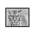 Picture of Big Tiger _GroupedProduct_Rectangle_Landscape_Photography _GroupedProduct_Rectangle_Landscape_Framed_Matted_
