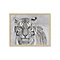 Picture of Big Tiger _GroupedProduct_Rectangle_Landscape_Photography _GroupedProduct_Rectangle_Landscape_Framed_Matted_