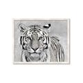 Picture of Big Tiger _GroupedProduct_Rectangle_Landscape_Photography _GroupedProduct_Rectangle_Landscape_Framed_Matted_