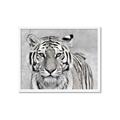 Picture of Big Tiger _GroupedProduct_Rectangle_Landscape_Photography _GroupedProduct_Rectangle_Landscape_Framed_Matted_