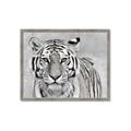 Picture of Big Tiger _GroupedProduct_Rectangle_Landscape_Photography _GroupedProduct_Rectangle_Landscape_Framed_Matted_