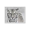 Picture of Big Tiger _GroupedProduct_Rectangle_Landscape_Photography _GroupedProduct_Rectangle_Landscape_Framed_Matted_