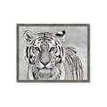 Picture of Big Tiger _GroupedProduct_Rectangle_Landscape_Photography _GroupedProduct_Rectangle_Landscape_Framed_Matted_