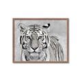 Picture of Big Tiger _GroupedProduct_Rectangle_Landscape_Photography _GroupedProduct_Rectangle_Landscape_Framed_Matted_